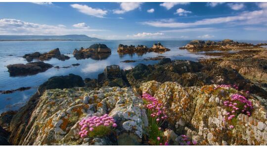 ierland