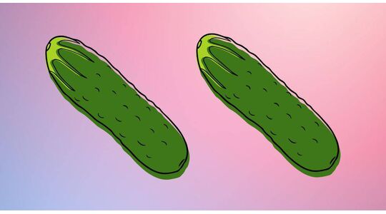 easytoys en kesbeke vibrator