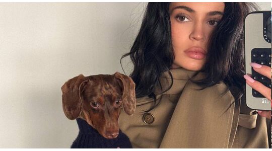 kylie jenner en timothee chalamet