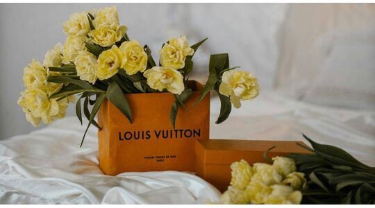 Louis Vuitton dolfijntas