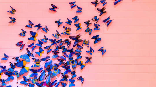 butterfly effect