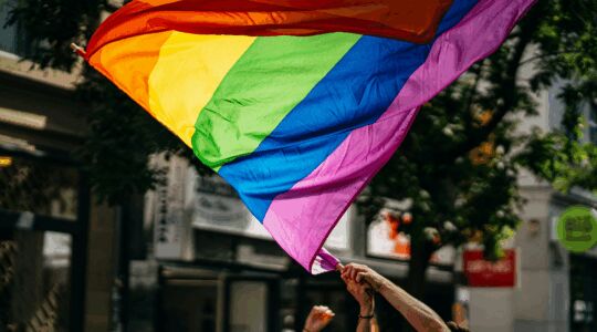 pride 2025