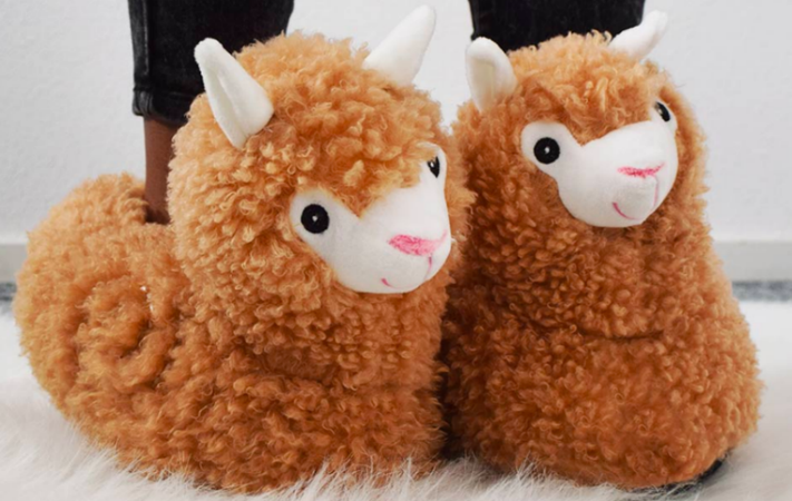 De musthave voor de herfst: alpaca sloffen