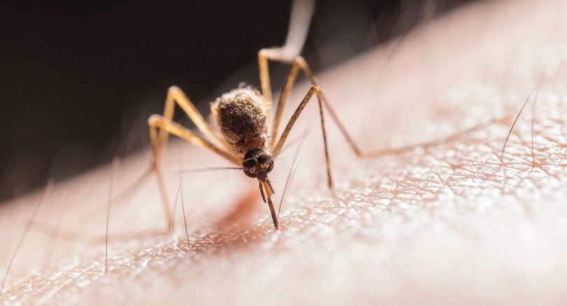 middeltje tegen jeuk door muggenbulten
