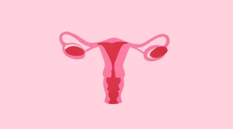 Getekende vagina.
