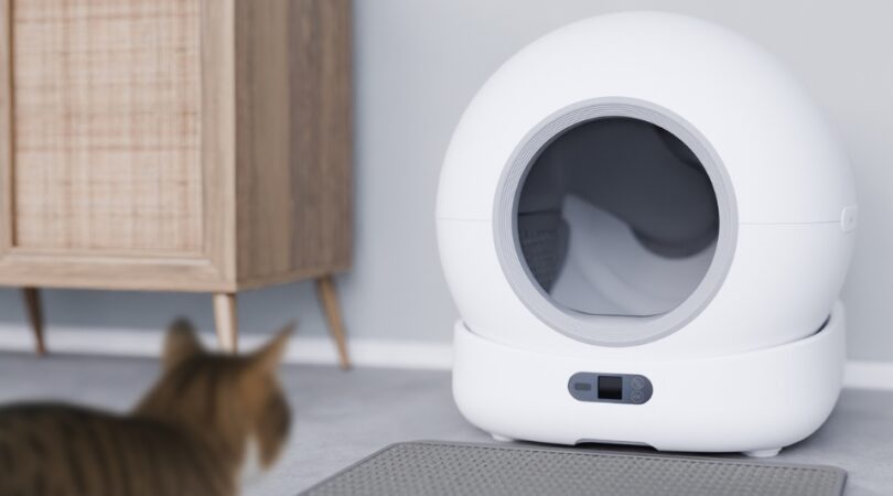 Zelfreinigende kattenbak
