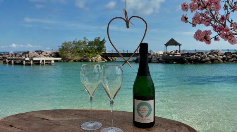 Twee glazen mousserende thee op een tafel met fles ernaast aan het water.